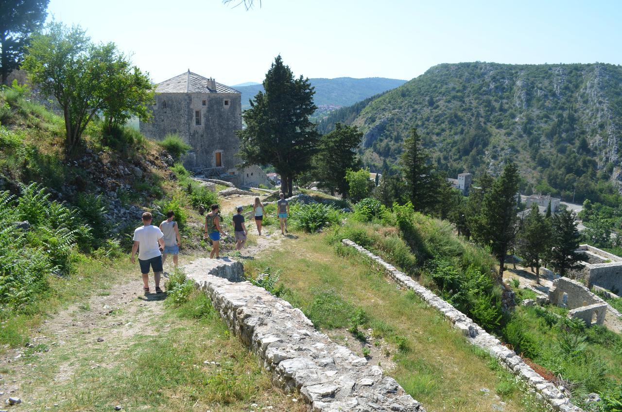 מוסטר Hostel Backpackers מראה חיצוני תמונה